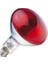 250W Infrared Isıtıcı Lamba kırmızı E27 1