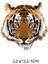 NO.2522 Stili Demir On Tiger Lion Leopard Giyim Için Yamalar Dıy T-Shirt Aplike Isı Transferleri Vinil Çıkartmalar Giysiler Için Termal Basın H (Yurt Dışından) 4