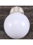 5 Adet E27 0.5W AC220V Beyaz Akkor Lamba Ampul Dekorasyon Lambası (Yurt Dışından) 2