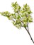 Yapay Çiçek 115 cm Yeşil Yapraklı Lux Bahar Dalı 2