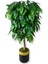 Yapay Yeşil Ceviz Ağacı 180 cm Gold Kemerli 30X30 Saksı 2