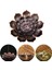 No.10 Tarzı Retro Alaşım Tütsü Brülör Budizm Bobin Lotus Çiçeği Şekli Buhurdan Bronzecopper Ev Masa Dekoru Zanaat Sopa Koni Buhurdan Tutucu (Yurt Dışından) 4