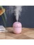 Pembe Tarzı Air Humidifier Incense Burner 220ML Ultrasonic Aroma Essential Oil Diffuser Home Car USB Fogger Mist Maker With LED Night Lamp (Yurt Dışından) 1