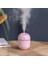 Pembe Tarzı Air Humidifier Incense Burner 220ML Ultrasonic Aroma Essential Oil Diffuser Home Car USB Fogger Mist Maker With LED Night Lamp (Yurt Dışından) 2