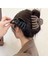 Kore Nötr Kahve Büyük Pençe Klipler Kalın Saç Aksesuarları Kadın Headdress Ins Moda Plastik Yakalama Yengeç Tokalar Hediyeler (Yurt Dışından) 4