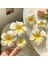 Plumeria Çiçek Saç Klipleri Kadınlar Için Tokalar Kızlar Yan Patlama Klipler Çiçek Tokası Hawaii Düğün Parti Çantası Şapka Aksesuarları (Yurt Dışından) 3