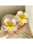 Plumeria Çiçek Saç Klipleri Kadınlar Için Tokalar Kızlar Yan Patlama Klipler Çiçek Tokası Hawaii Düğün Parti Çantası Şapka Aksesuarları (Yurt Dışından) 4