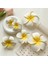 Plumeria Çiçek Saç Klipleri Kadınlar Için Tokalar Kızlar Yan Patlama Klipler Çiçek Tokası Hawaii Düğün Parti Çantası Şapka Aksesuarları (Yurt Dışından) 5