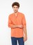 Lcw Casual Regular Fit Uzun Kollu Poplin Erkek Gömlek 2
