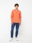Lcw Casual Regular Fit Uzun Kollu Poplin Erkek Gömlek 3