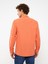 Lcw Casual Regular Fit Uzun Kollu Poplin Erkek Gömlek 5