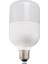 5m LED Ampül 30W 6500K 1