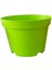 Katı Plastik Sukulent Saksısı 15 Adet Yeşil (8.5 Cm) 3