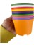 Katı Plastik Sukulent Saksısı 15 Adet Koyu Mor (8.5 Cm) 2