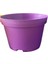 Katı Plastik Sukulent Saksısı 15 Adet Koyu Mor (8.5 Cm) 3