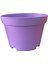 Katı Plastik Sukulent Saksısı 15 Adet Açık Mor (8.5 Cm) 3