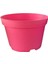 Katı Plastik Sukulent Saksısı 20 Adet Pembe (8.5 Cm) 3