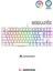 Claw Blue Switch Rainbow Tkl Mekanik Gaming Oyuncu Klavye ( Anti-Ghosting ) 1