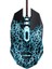 24752 Basic Mouse ve Mousepad-Siyah 5