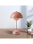 LED Masa Lampları Yeniden Yüklenebilir Flower Bud Desk Lamp Dokunma Cafe Yatak Odası Restoranı Modern Dekorasyon Gizleri (Yurt Dışından) 3