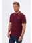 Regular Fit Polo Yaka Detaylı Erkek T-Shirt-PL3565TY241 5