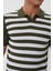 Klasik Kalıp Çizgili Polo Yaka Triko T-Shirt-TY1071TY241 2