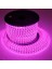 Pembe Neon LED 5 mt 12 Volt 6 x 12 mm 1