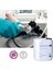 Actosed® Hp Ready 5 L Tıbbi Alet ve Endoskoplar Için Yüksek Yüzey Dezenfektan 3