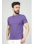 4613 Erkek Polo Yaka T-Shirt 2