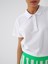 Polo Yaka %100 Pamuk Regular Fit Basic T-Shirt 2