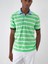 Polo Yaka %100 Pamuk Regular Fit Çizgili T-Shirt 2