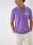 Polo Yaka %100 Pamuk Regular Fit T-Shirt 2
