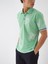 Polo Yaka Pamuklu Regular Fit Desenli T-Shirt 2