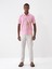 Polo Yaka Pamuklu Regular Fit Baskılı T-Shirt 1