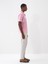 Polo Yaka Pamuklu Regular Fit Baskılı T-Shirt 3