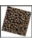 Uyguna-Yakala 1 Kg Extrude Plus 5mm Alabalık Yemı-Spe.112 1