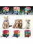 18 Adet Yansıtıcı Kedi Kimlik Tasması, Saati Ayarlanabilir 19-32CM (Yurt Dışından) 4