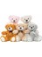 Oyuncak Ayılar Toplu 5 Paket Teddy Bear Doldurulmuş Hayvan lar Çocuk Kız Arkadaşı Için 5 Renk Hediye, Noel Sevgililer Günü Doğum Günü Düğün Partisi Için 13.5 Inç Doldu (Yurt Dışından) 1