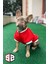 Stardogs Köpek College Ceket, Köpek Kıyafeti, Köpek Ceketi 3