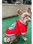 Stardogs Köpek College Ceket, Köpek Kıyafeti, Köpek Ceketi 4