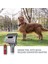 Evcil Köpekler Için Damat Alet Seti - Dyson V6 V7 ve Dc Serisi Için, Kilitli (Yurt Dışından) 3