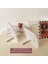 Kahverengi Tarzı Sharkbang 3 "akrilik Fotoğraf Çerçevesi Satranç Tahtası Polaroid Kartları Ekran Manyetik Masaüstü Dekorasyon Kart Sahibinin Malzemeleri (Yurt Dışından) 5
