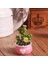 E-05 Stili 1 Adet Reçine Kawaii Kaktüs Bitkiler Fotoğraf Klip Not Klip Mesaj Klip Kartvizit Klip Masaüstü Dekoratif Küçük Süsler (Yurt Dışından) 4