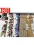 NO.2369 Tarzı S Beden Jiataihe Washi Bant Haritaları Vintage Posterler, Ingilizce, Dıy Karalama Defteri Kağıdı Fotoğraf Albümü Japon Maskeleme Bandı (Yurt Dışından) 2