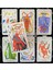 Kırmızı Stil Ingilizce Sürüm Tarot Tarot Kartları Pdf Kılavuzlu Yeni Başlayanlar Için Astroloji Altın Kehanet Aracı (Yurt Dışından) 2