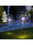 Solar Starburst Stake Garden Lights Güneş Enerjili Bahçe Yıldız Işıkları 2'li Paket 3