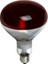 150W Kırmızı Infrared Isıtıcı Ampul 1