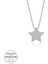 Swarovski Taşlı Gümüş Yıldız Bayan Kolye 1