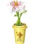 Saksı Bitkileri Vazo Fincan Succulents Kaktüs Gypsophila Dağ Lotus Süslemeleri Yapı Taşları Modeli Tuğla Setleri Kitleri Oyuncaklar (Yurt Dışından) 3