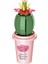 Saksı Bitkileri Vazo Fincan Succulents Kaktüs Gypsophila Dağ Lotus Süslemeleri Yapı Taşları Modeli Tuğla Setleri Kitleri Oyuncaklar (Yurt Dışından) 5